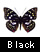 黒い蝶を表示する